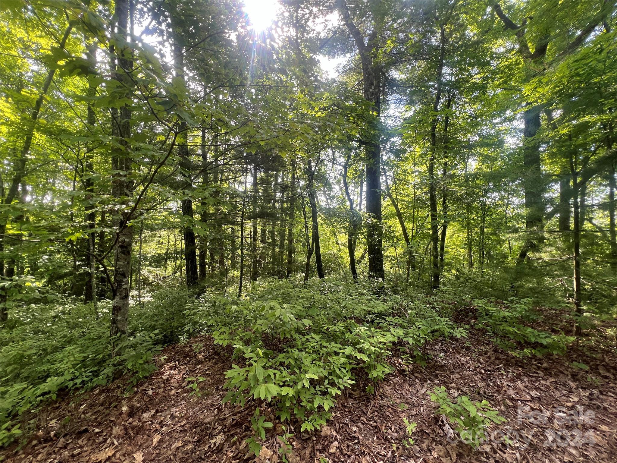 000 Laurel Thicket Lane Brevard NC 28712
