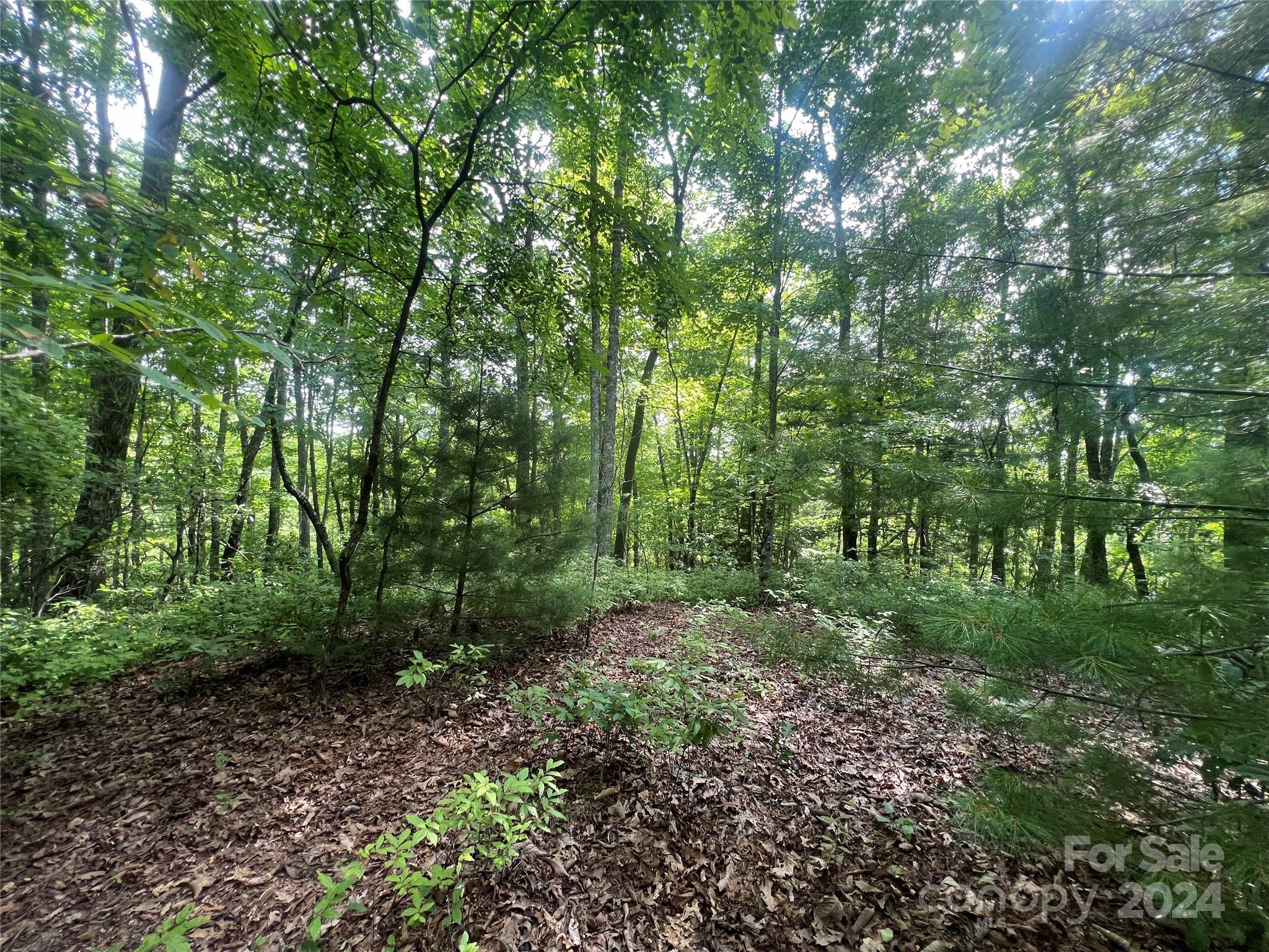 000 Laurel Thicket Lane Brevard NC 28712