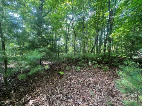 000 Laurel Thicket Lane Brevard NC 28712