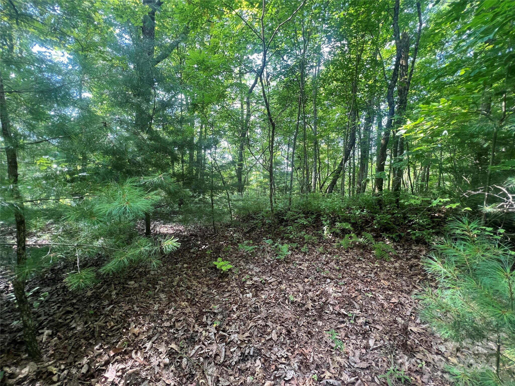 000 Laurel Thicket Lane Brevard NC 28712