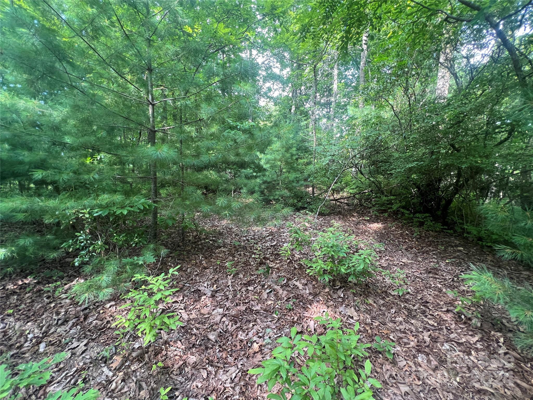 000 Laurel Thicket Lane Brevard NC 28712