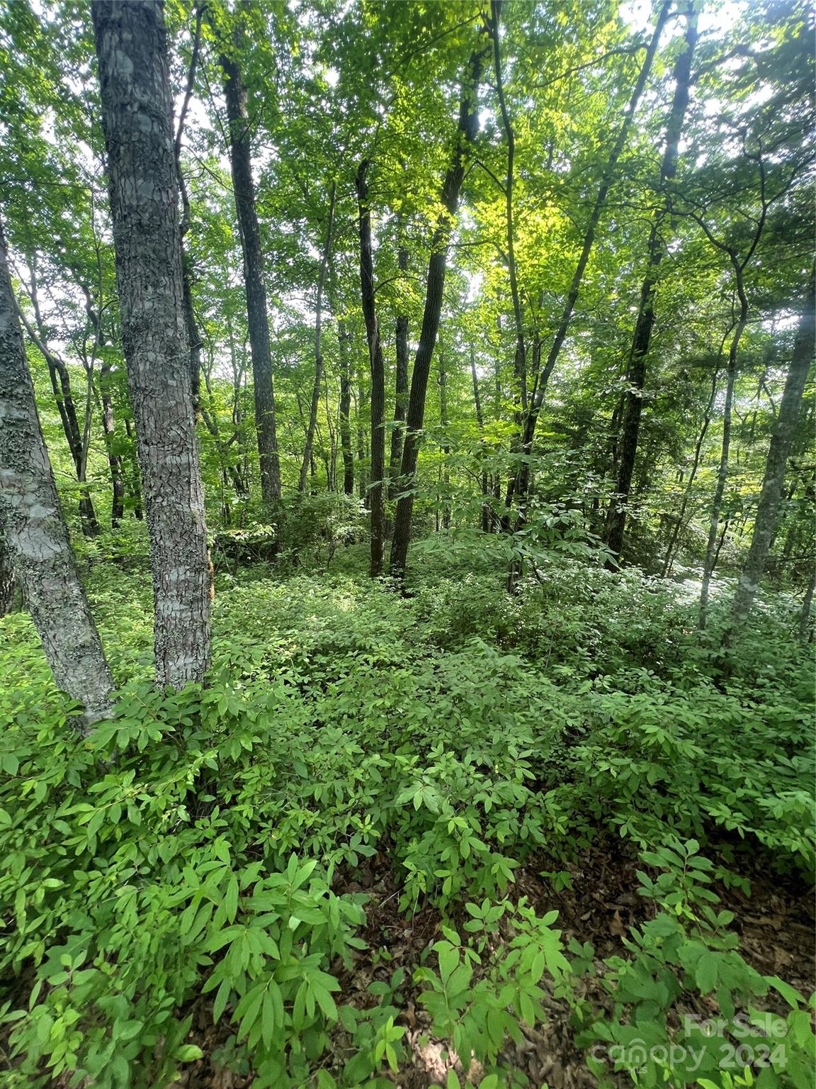 000 Laurel Thicket Lane Brevard NC 28712