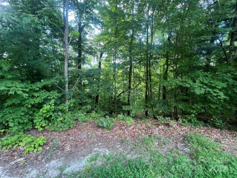 000 Laurel Thicket Lane Brevard NC 28712