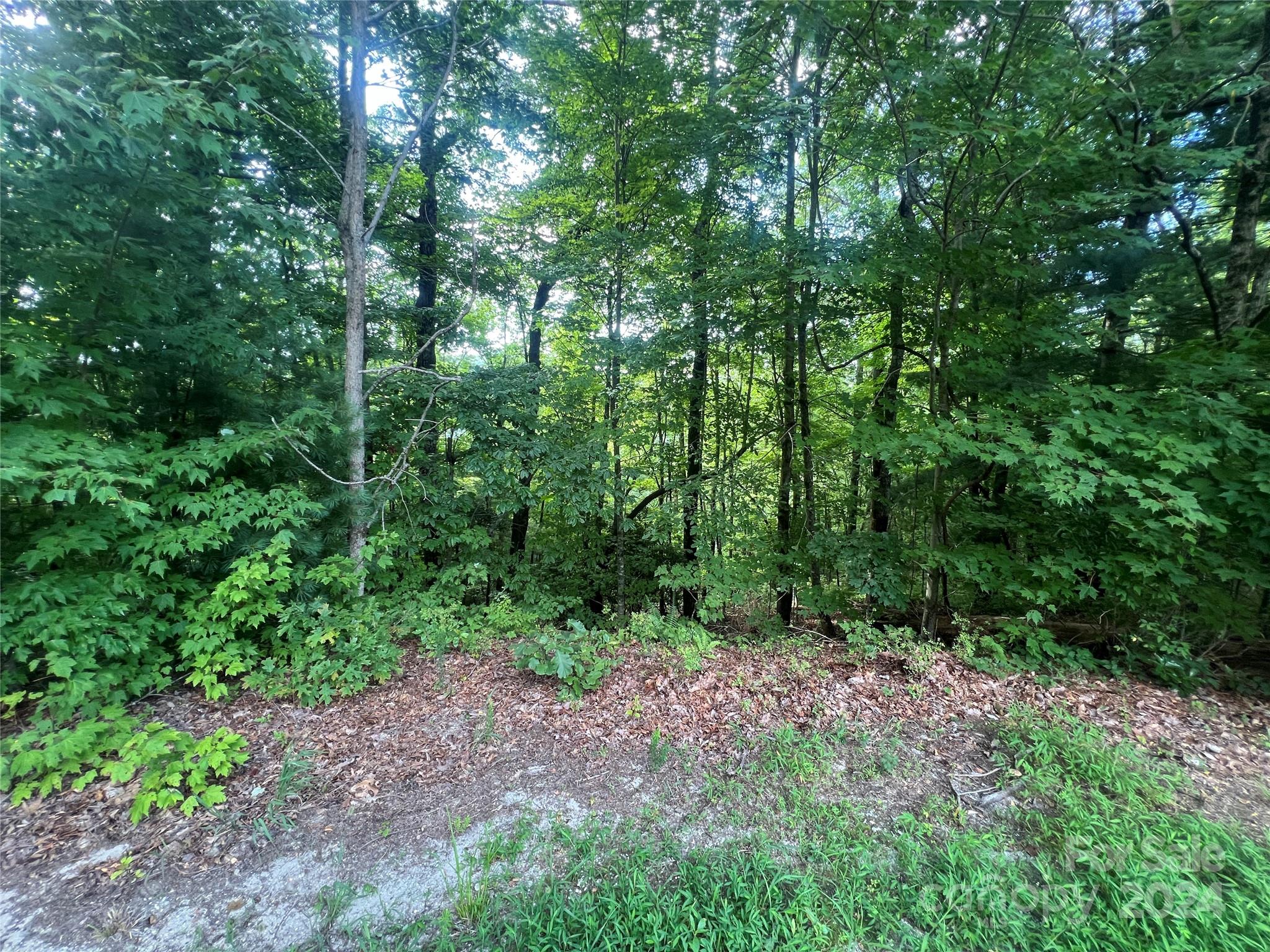 000 Laurel Thicket Lane Brevard NC 28712