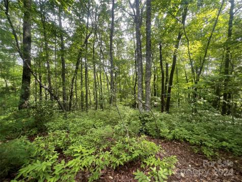 000 Laurel Thicket Lane Brevard NC 28712