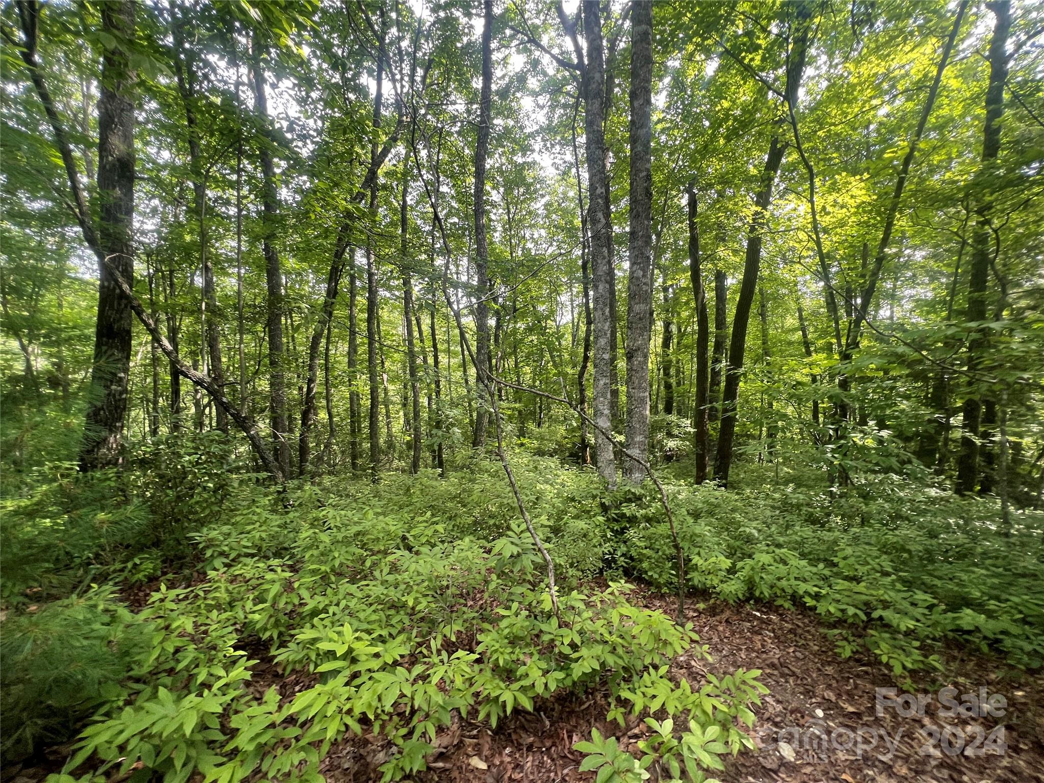 000 Laurel Thicket Lane Brevard NC 28712
