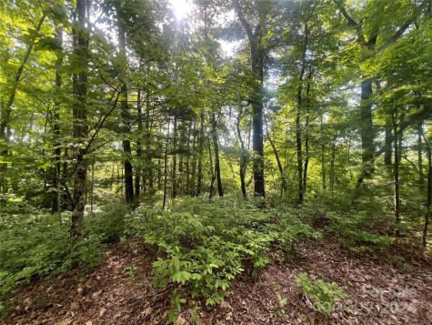 000 Laurel Thicket Lane Brevard NC 28712
