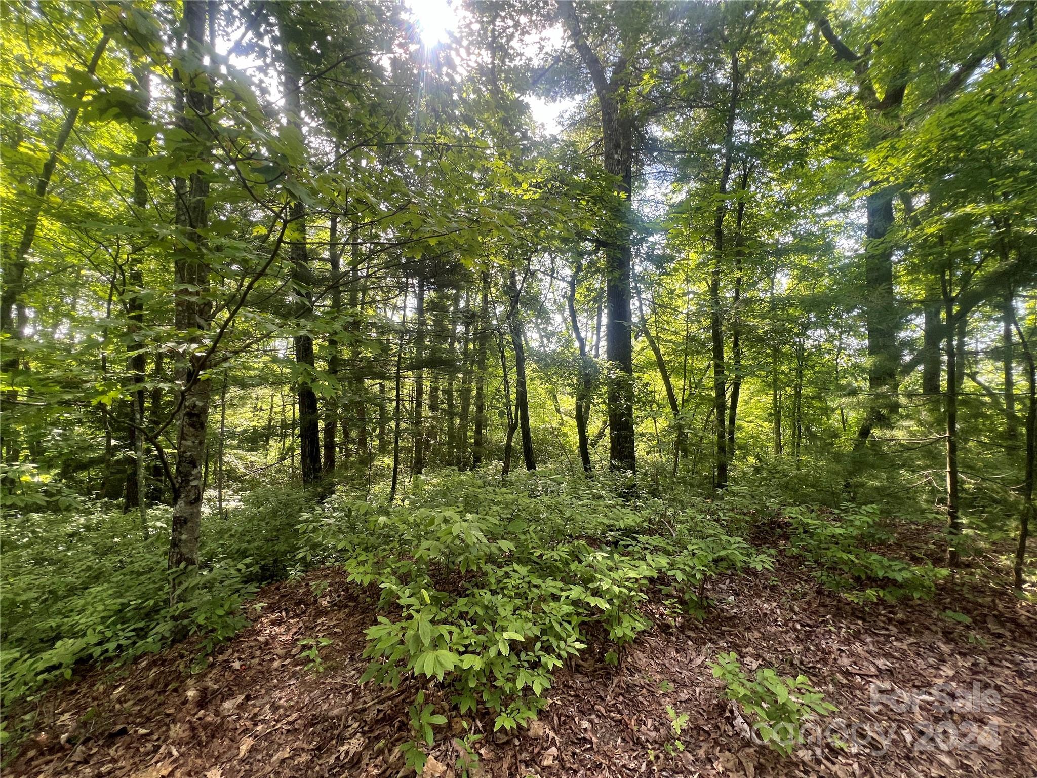 000 Laurel Thicket Lane Brevard NC 28712