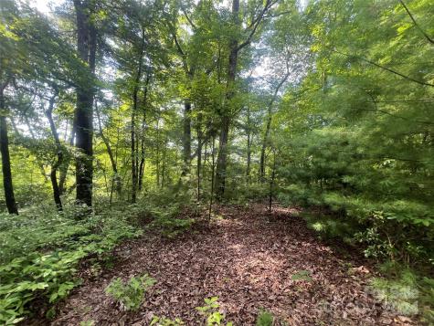 000 Laurel Thicket Lane Brevard NC 28712