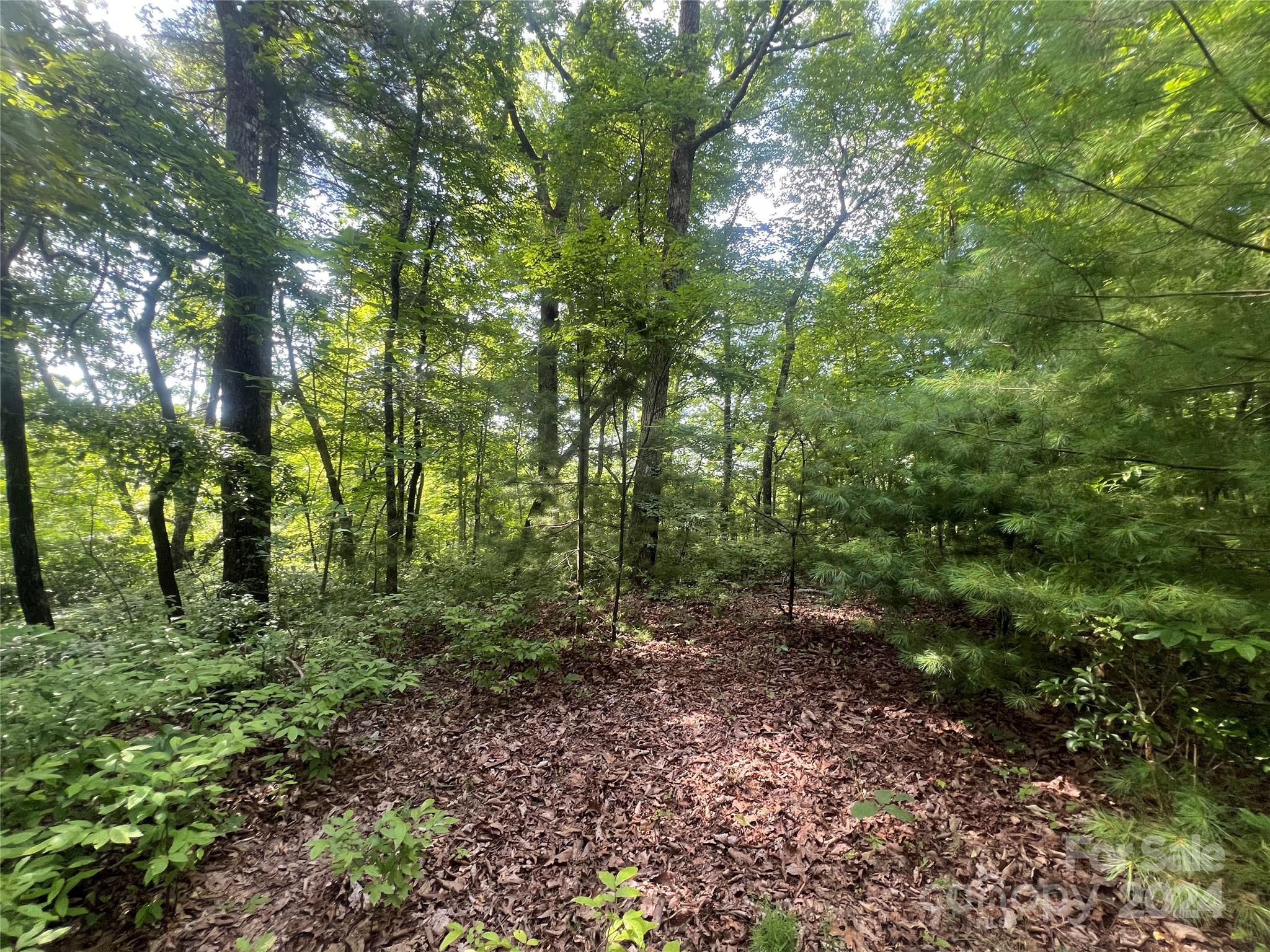 000 Laurel Thicket Lane Brevard NC 28712