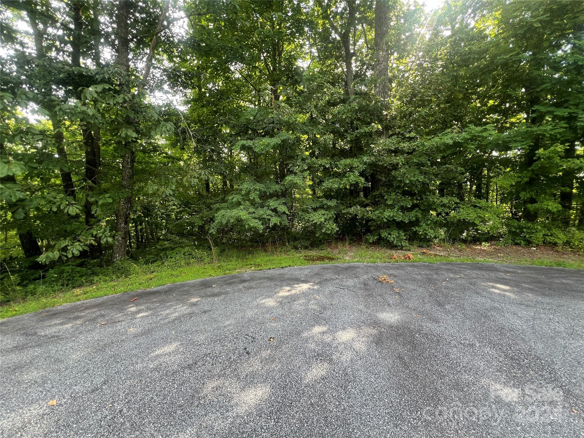 000 Laurel Thicket Lane Brevard NC 28712