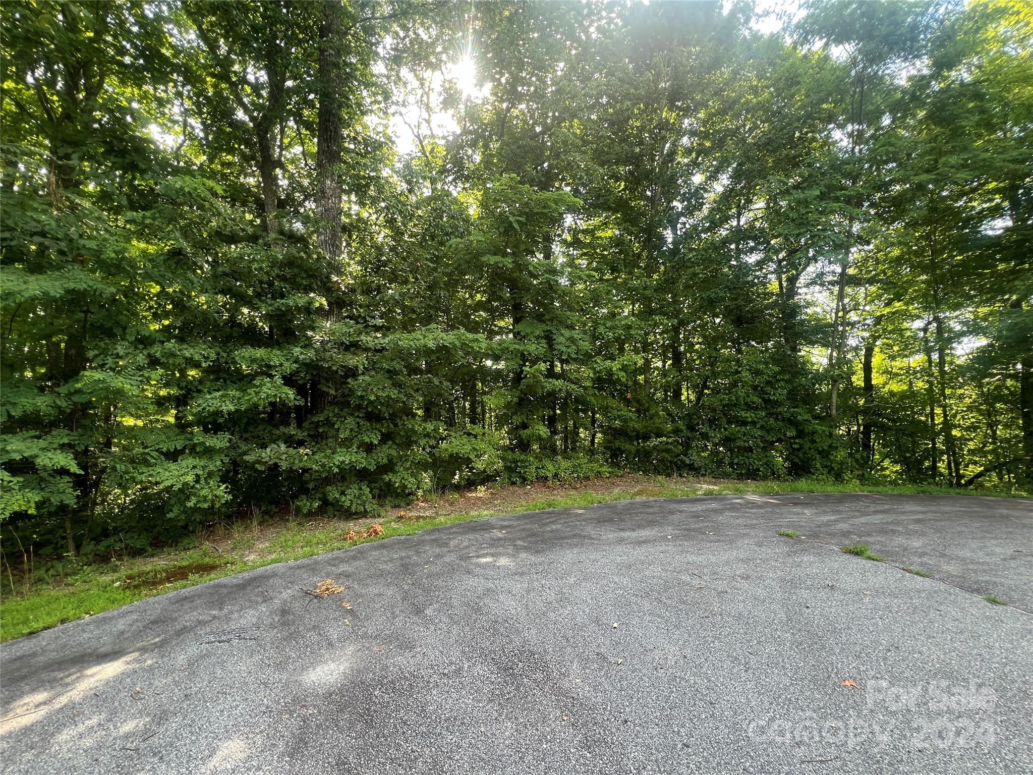 000 Laurel Thicket Lane Brevard NC 28712