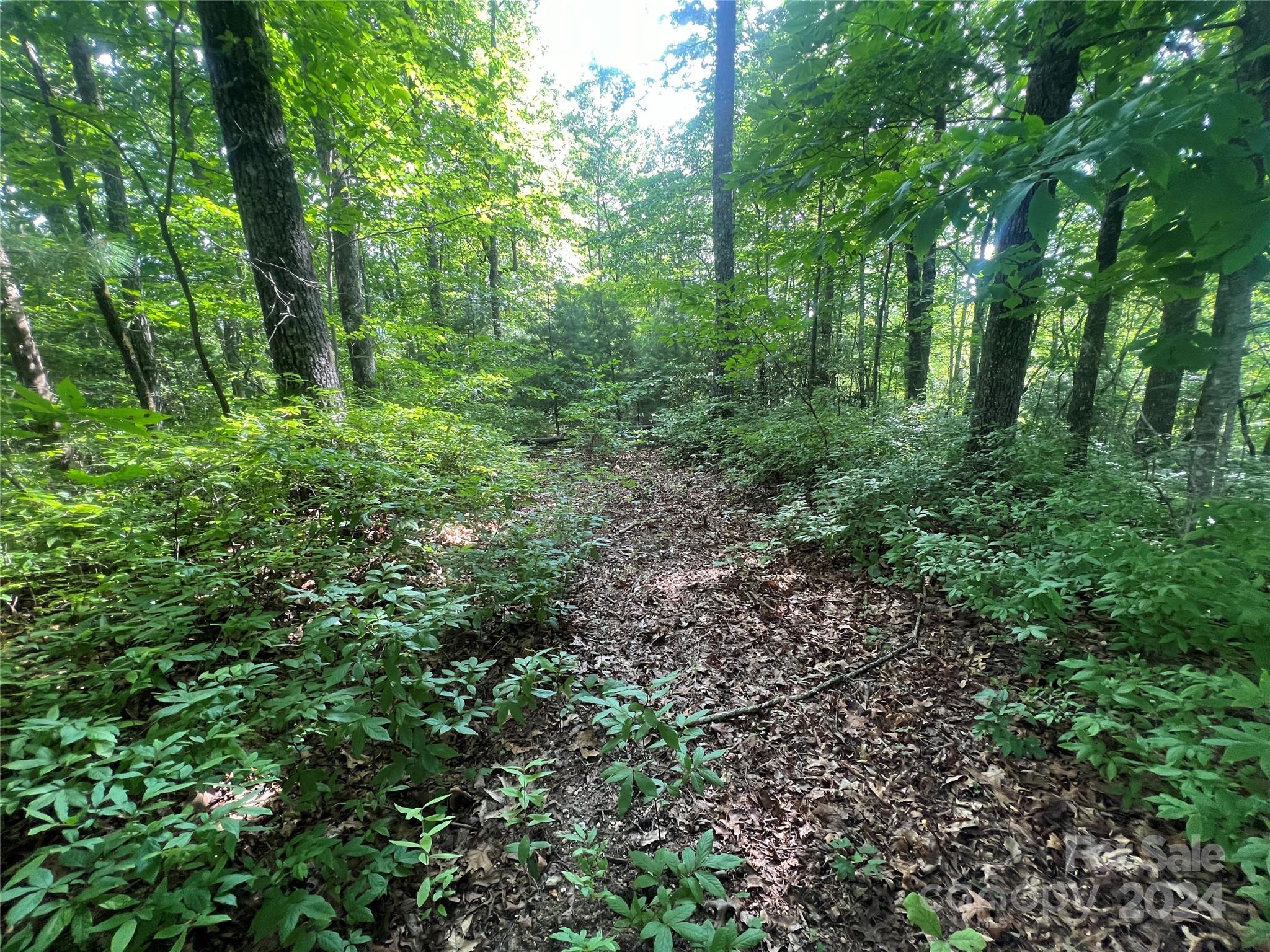 000 Laurel Thicket Lane Brevard NC 28712