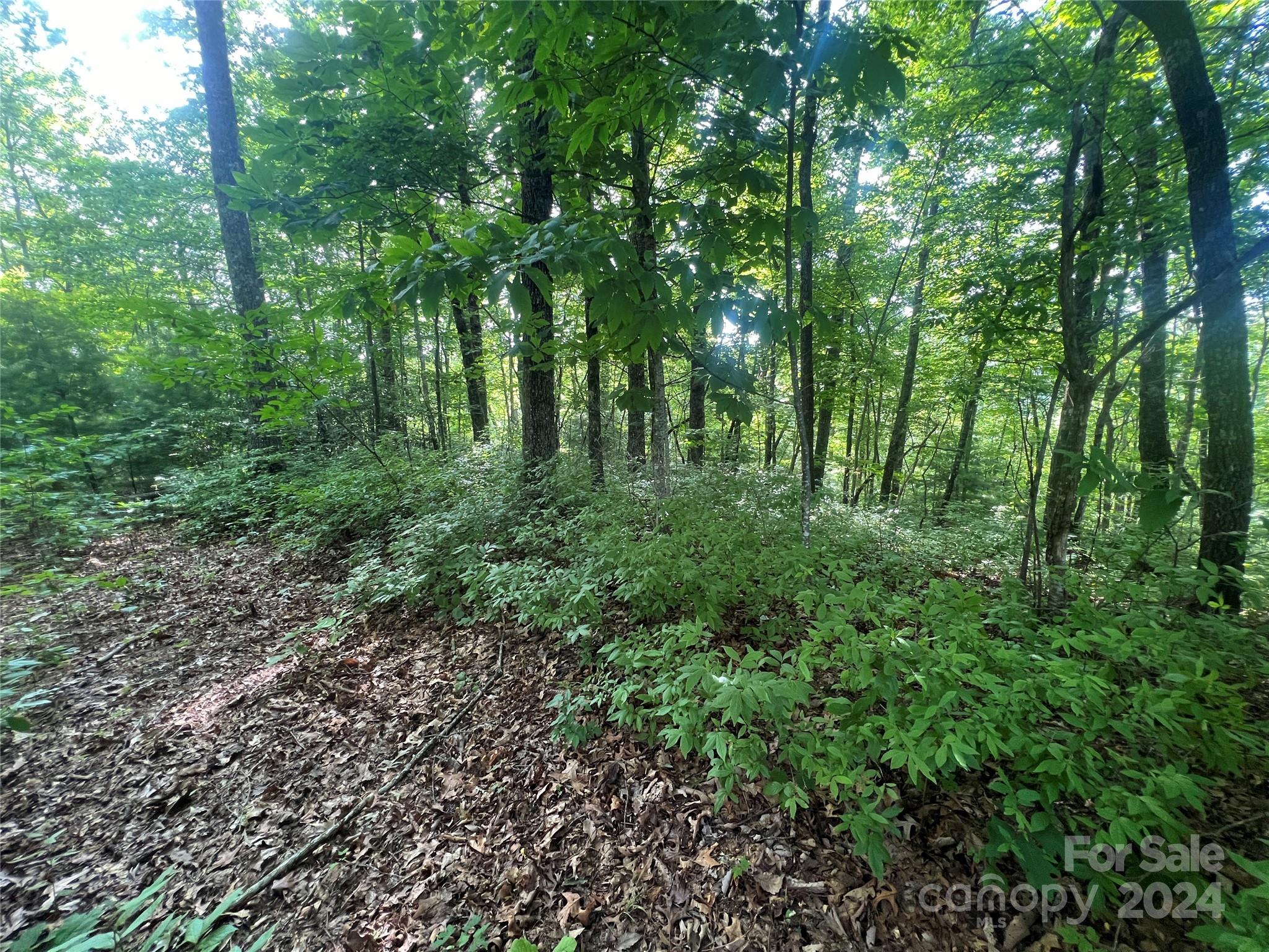 000 Laurel Thicket Lane Brevard NC 28712