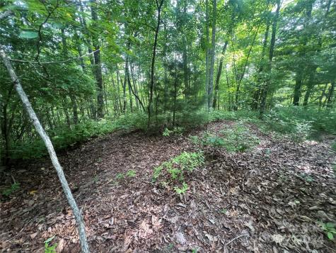 000 Laurel Thicket Lane Brevard NC 28712