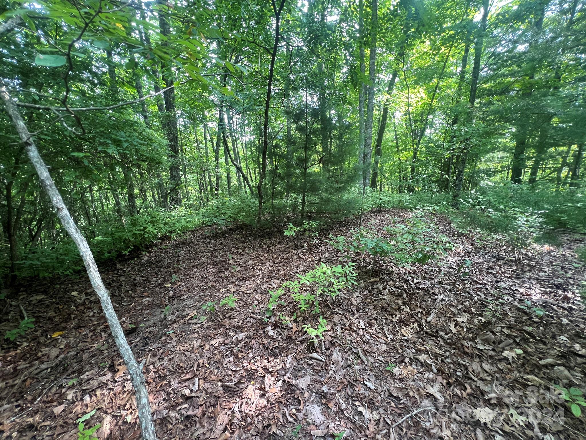 000 Laurel Thicket Lane Brevard NC 28712