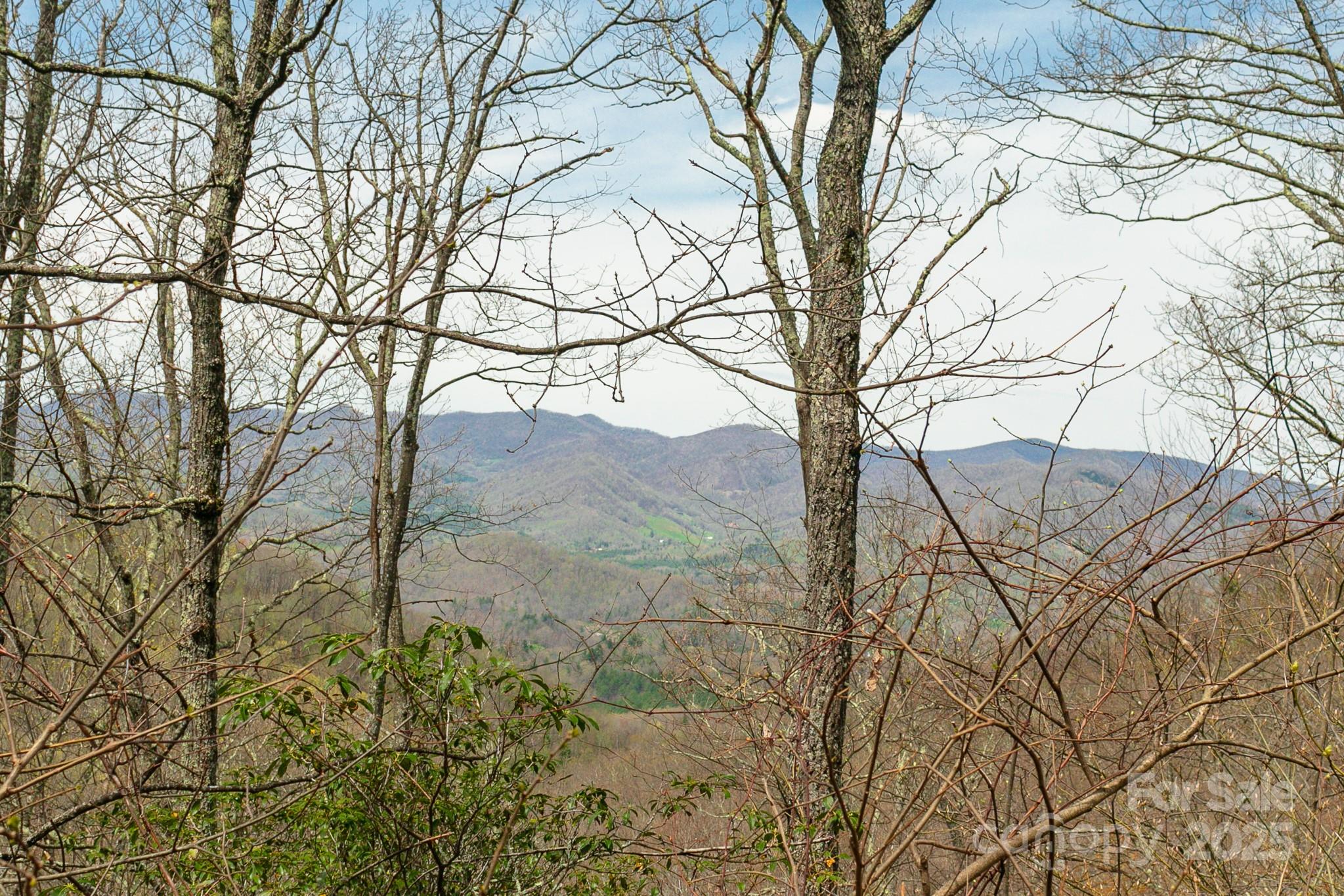 Lot 12 Heritage Ridge Loop Burnsville NC 28714
