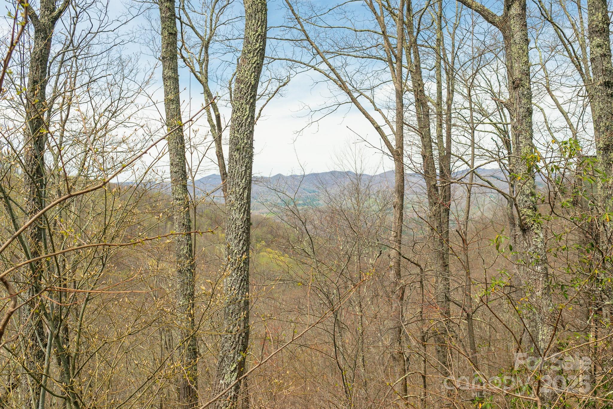 Lot 12 Heritage Ridge Loop Burnsville NC 28714