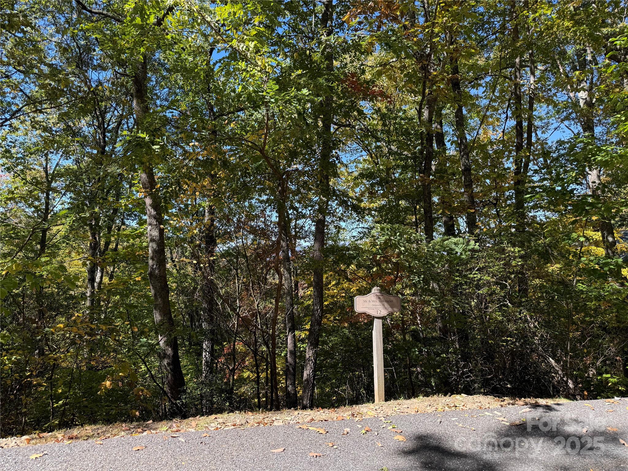 Lot 12 Heritage Ridge Loop Burnsville NC 28714