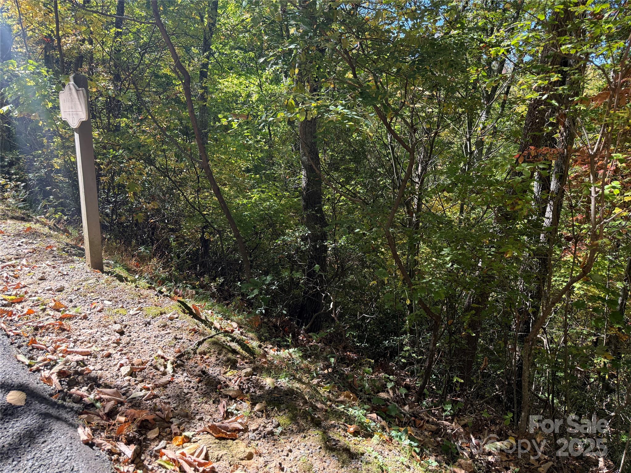 Lot 12 Heritage Ridge Loop Burnsville NC 28714