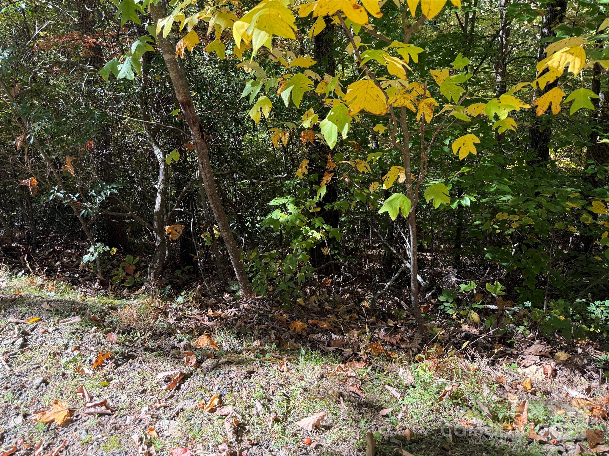 Lot 12 Heritage Ridge Loop Burnsville NC 28714