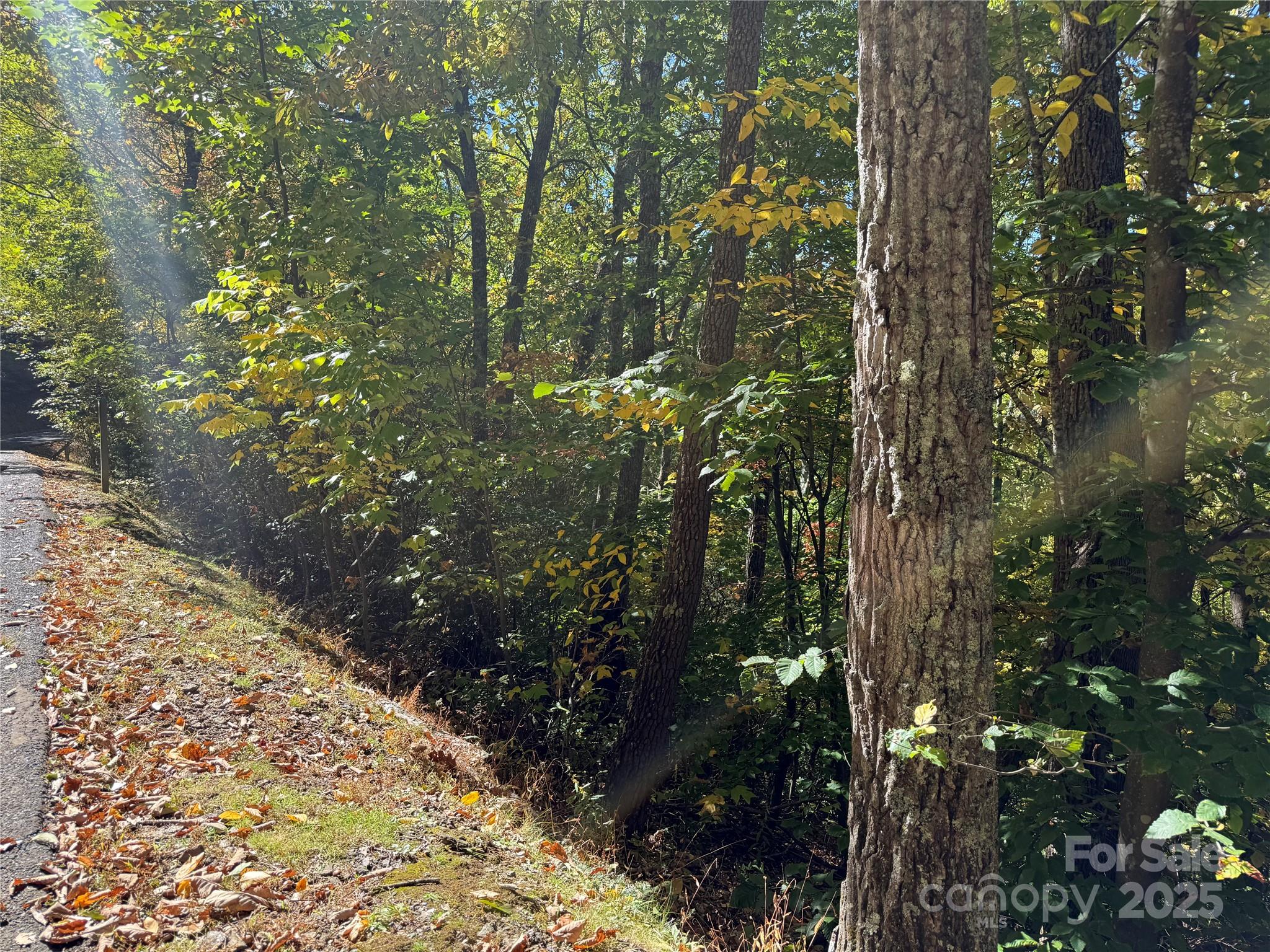 Lot 12 Heritage Ridge Loop Burnsville NC 28714