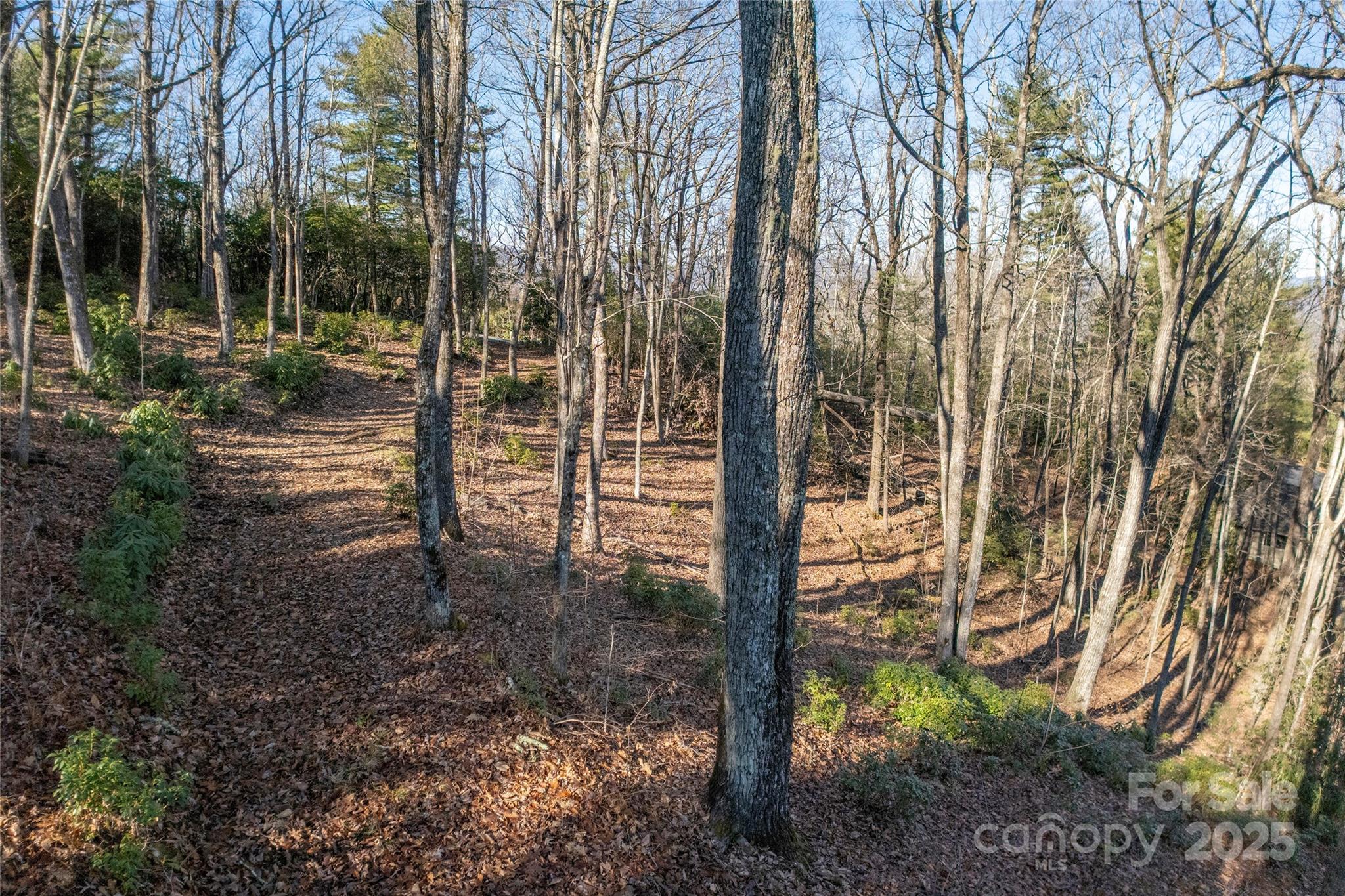 Lot 25 Lakeside Trail Lake Toxaway NC 28747