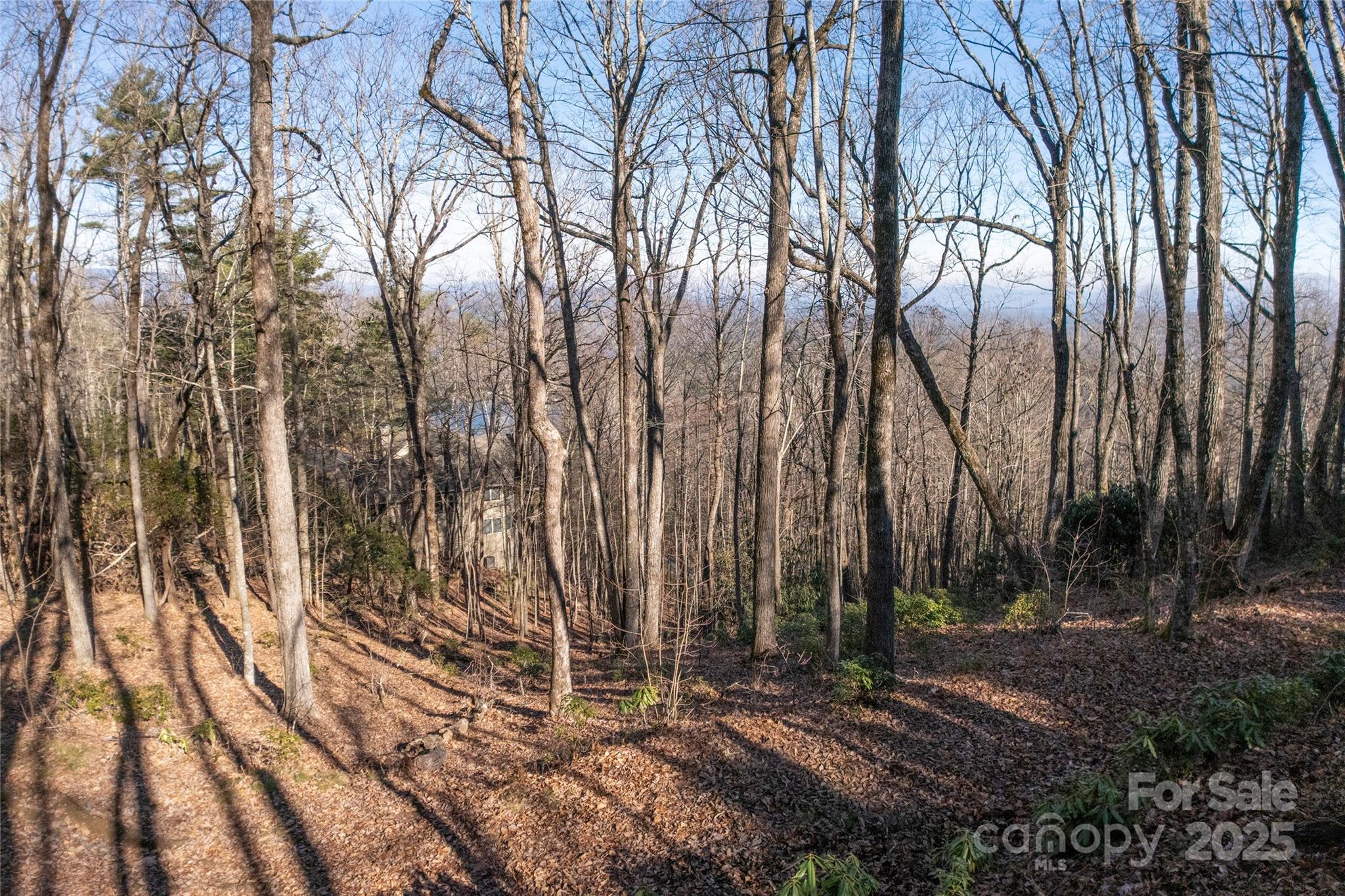Lot 25 Lakeside Trail Lake Toxaway NC 28747