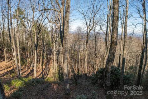 Lot 25 Lakeside Trail Lake Toxaway NC 28747