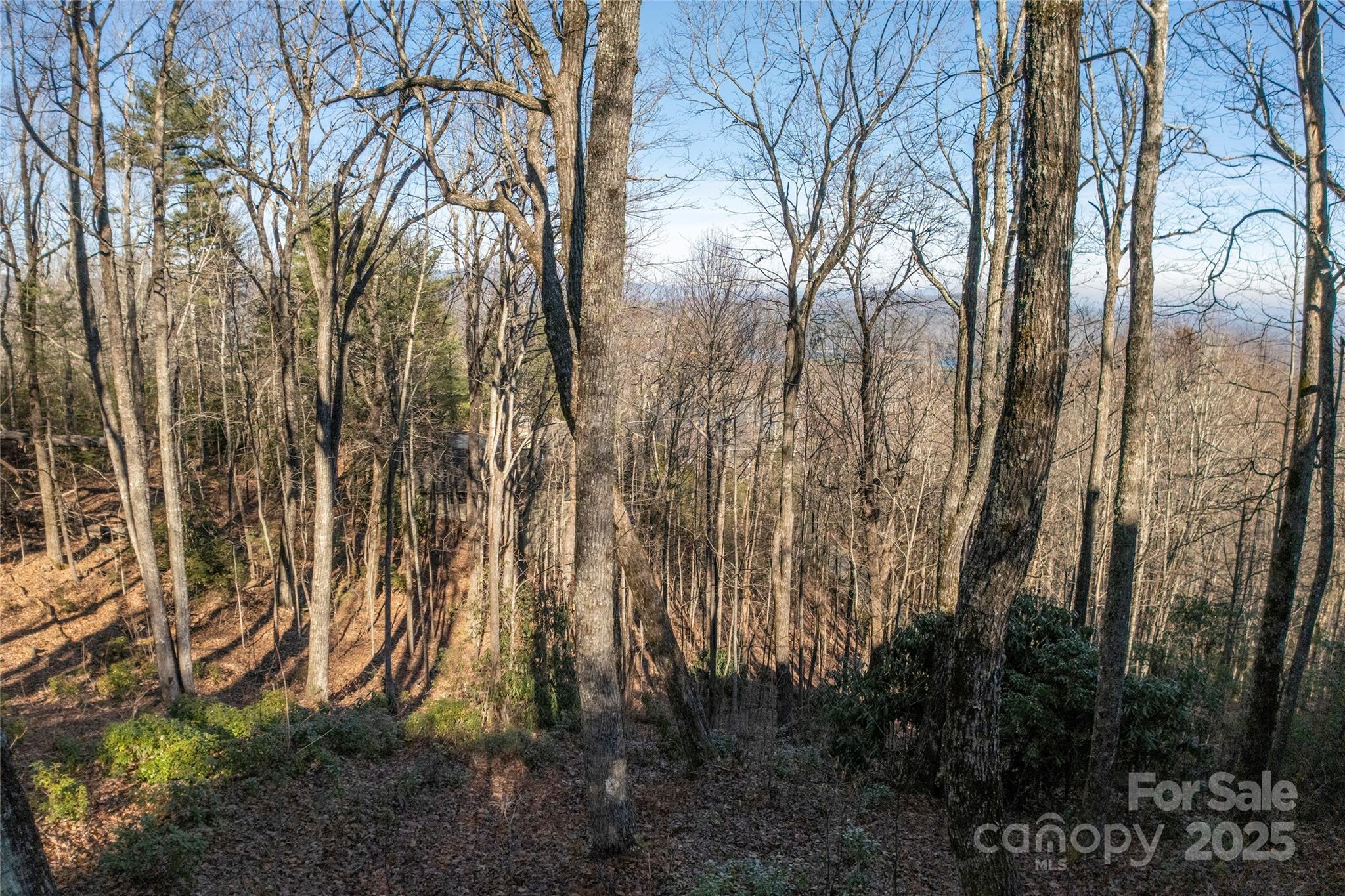 Lot 25 Lakeside Trail Lake Toxaway NC 28747
