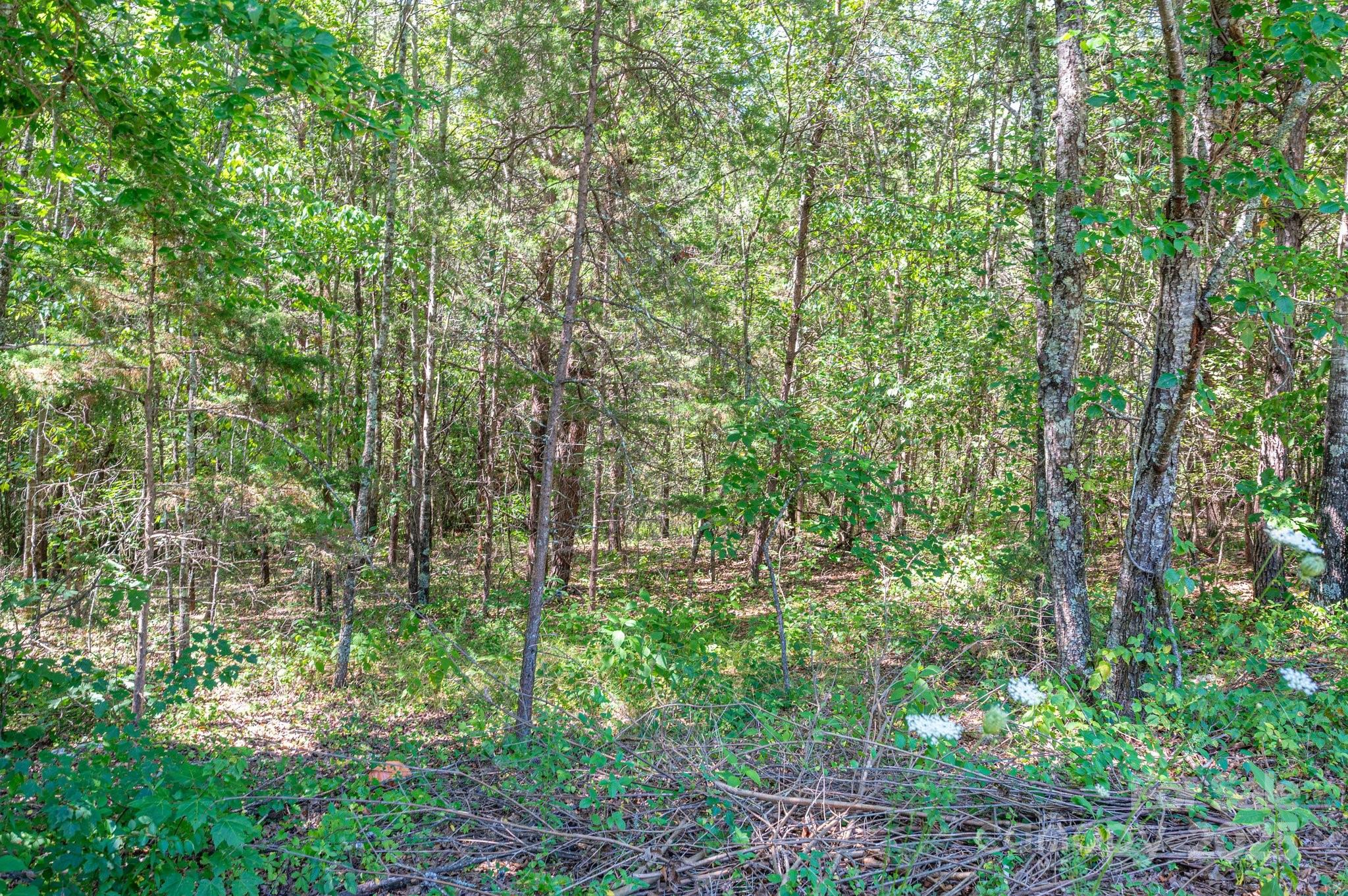 Lot # 15 Meadow Crossing Drive Rutherfordton NC 28139