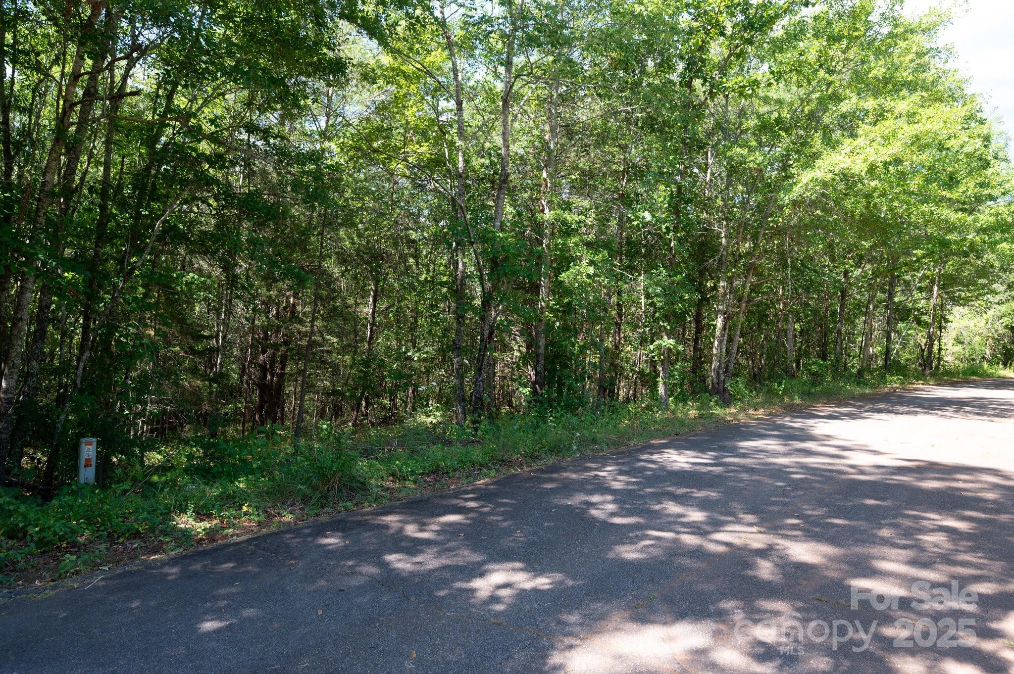Lot # 15 Meadow Crossing Drive Rutherfordton NC 28139