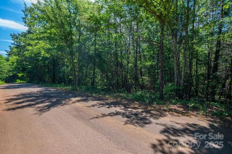 Lot # 15 Meadow Crossing Drive Rutherfordton NC 28139