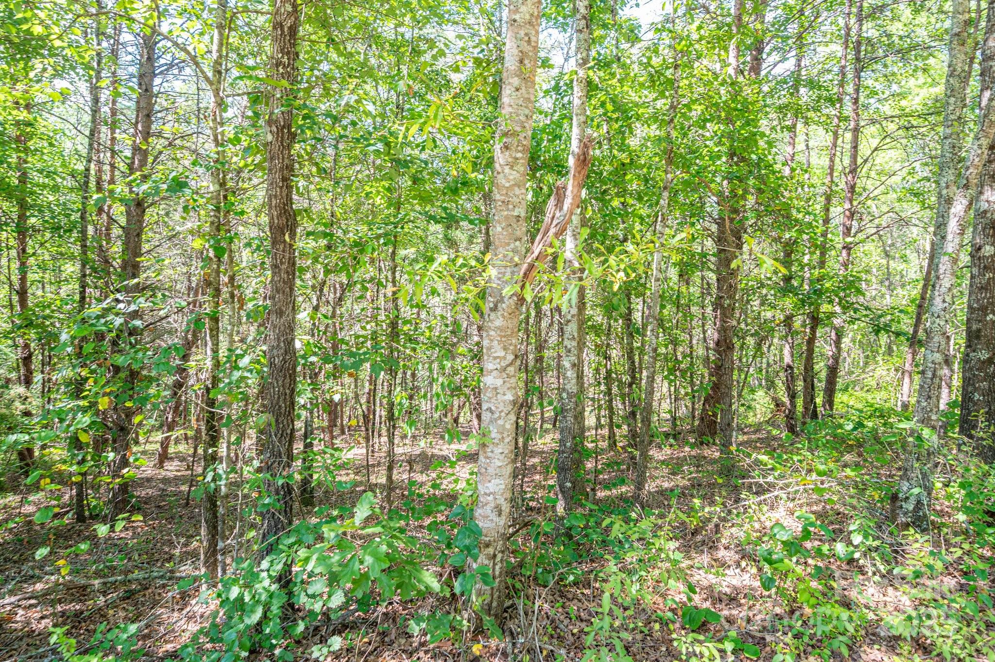 Lot # 15 Meadow Crossing Drive Rutherfordton NC 28139
