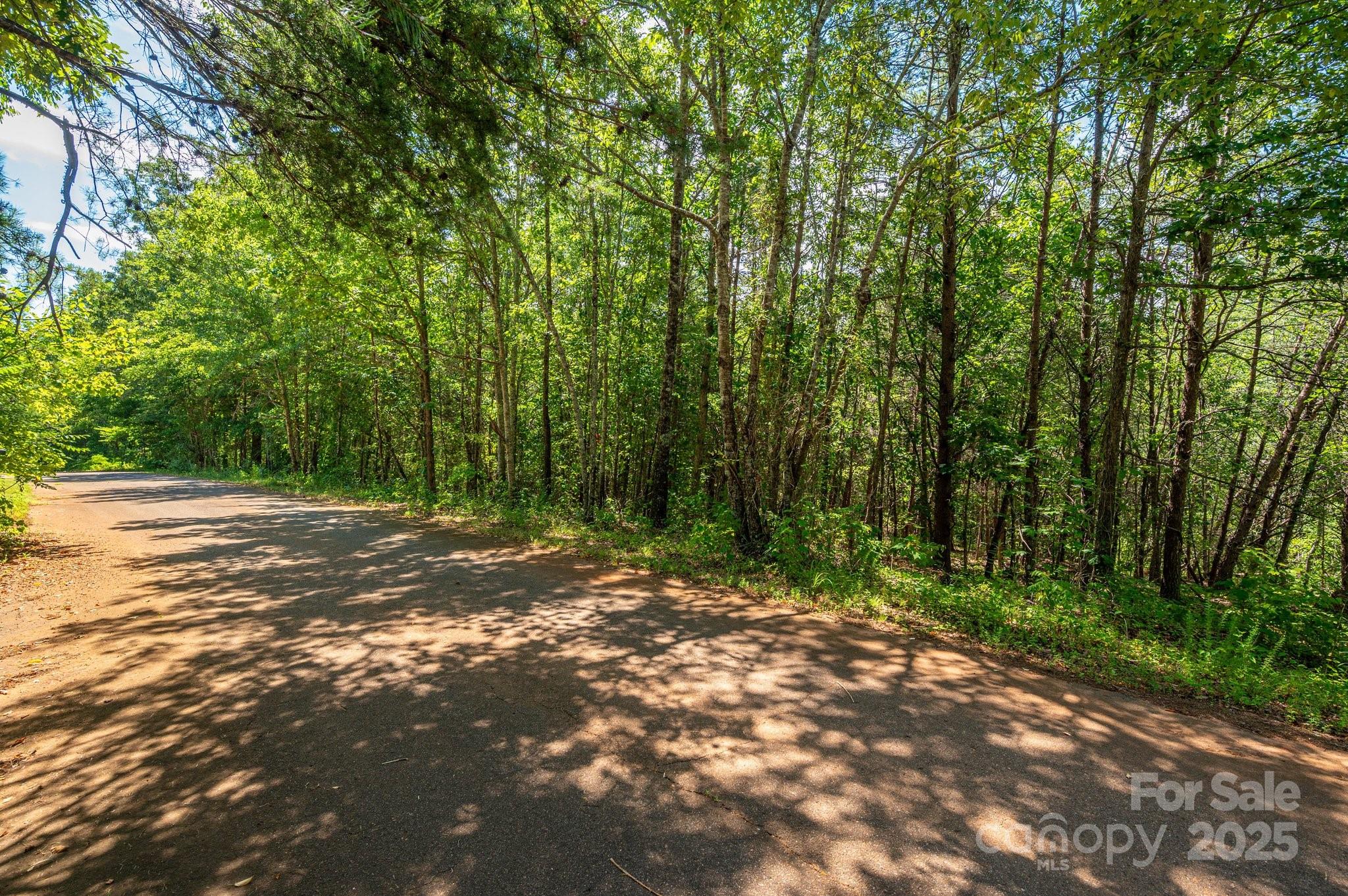 Lot # 15 Meadow Crossing Drive Rutherfordton NC 28139