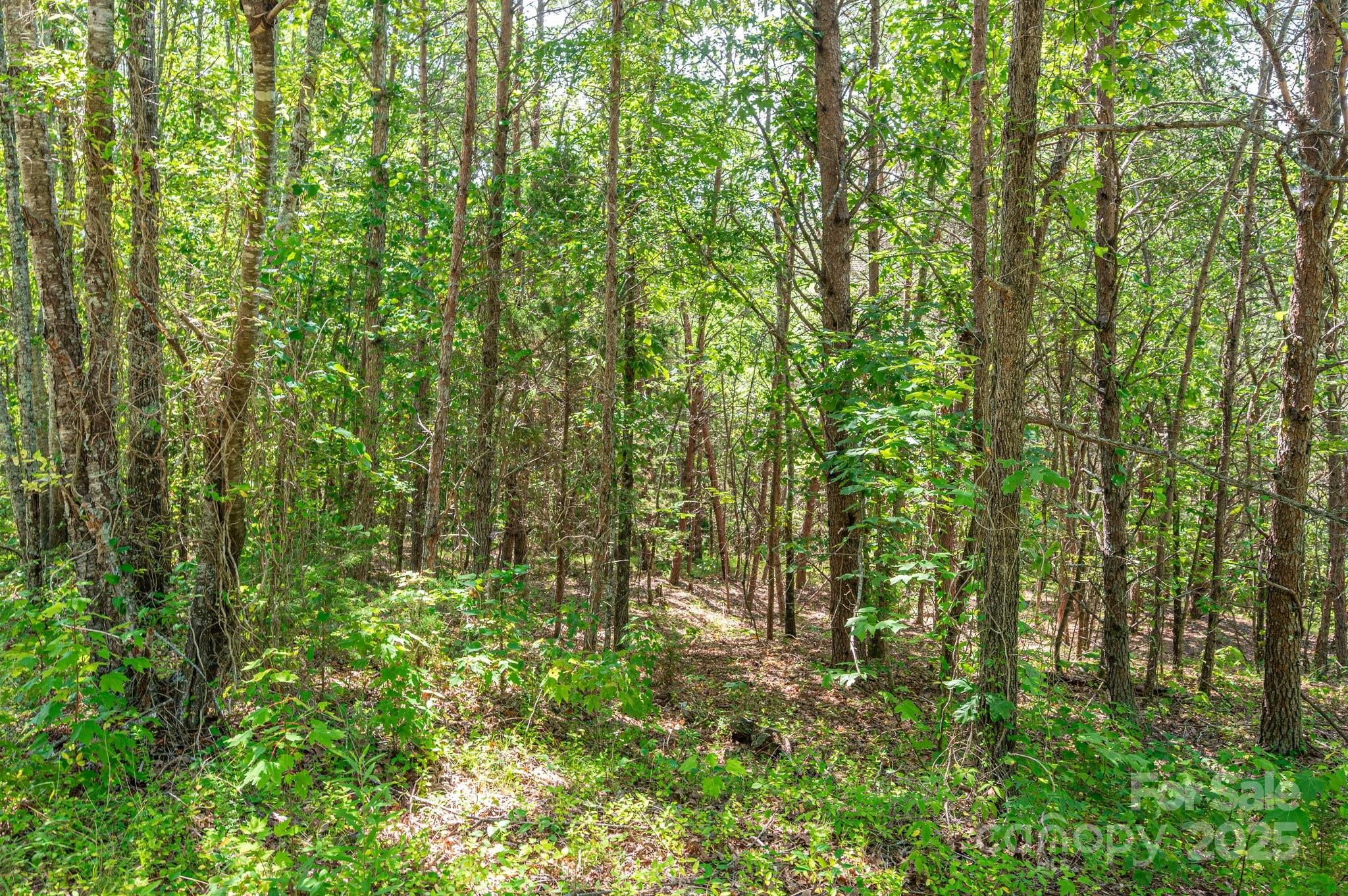 Lot # 15 Meadow Crossing Drive Rutherfordton NC 28139