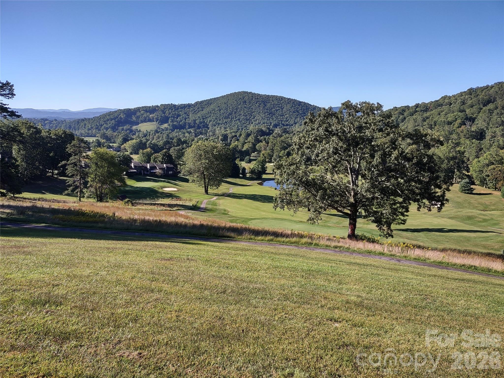 99999 Cedar Drive Mills River NC 28759