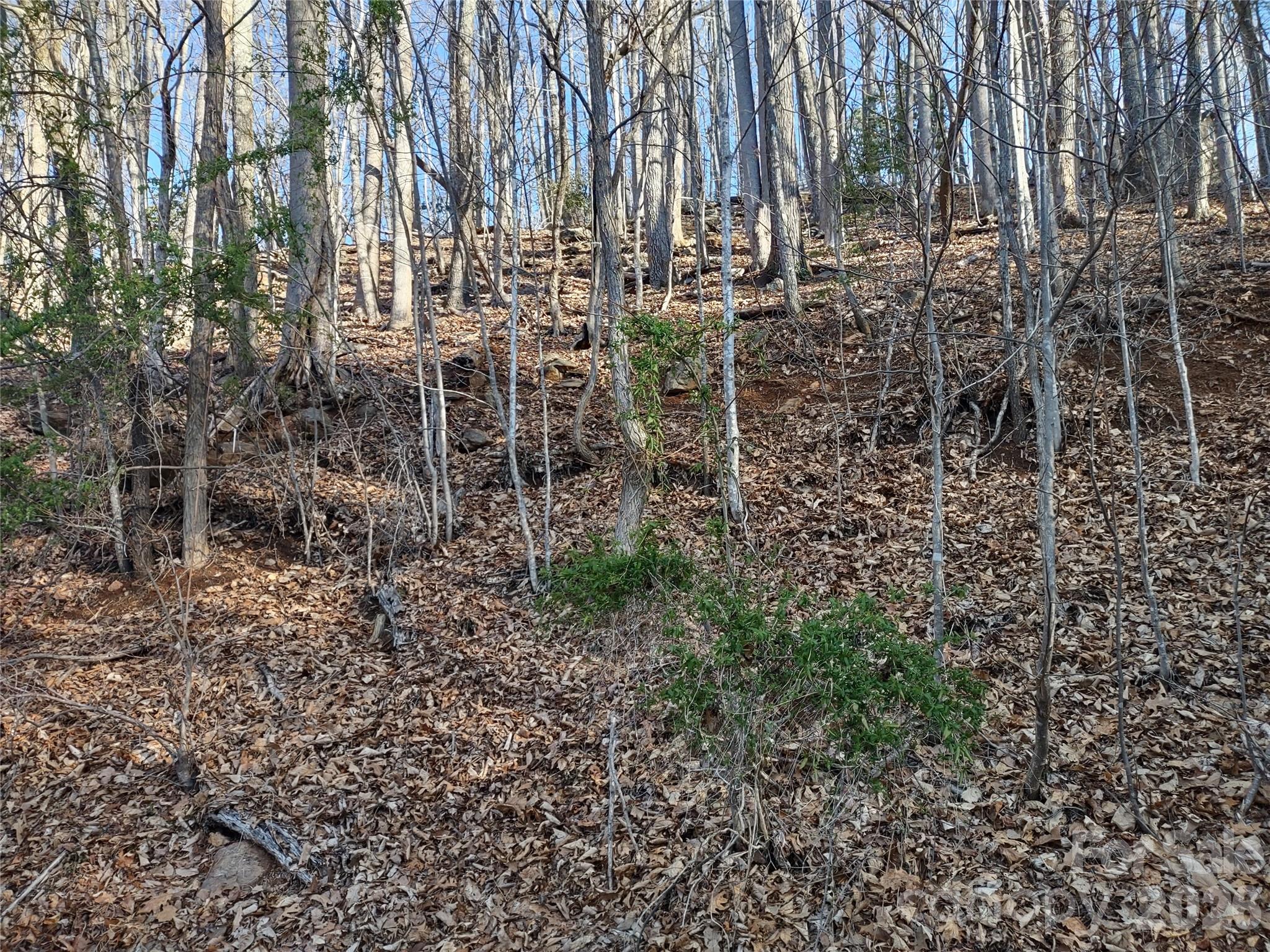 99999 Cedar Drive Mills River NC 28759
