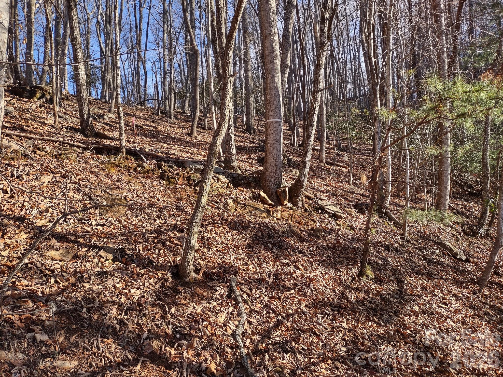 99999 Cedar Drive Mills River NC 28759