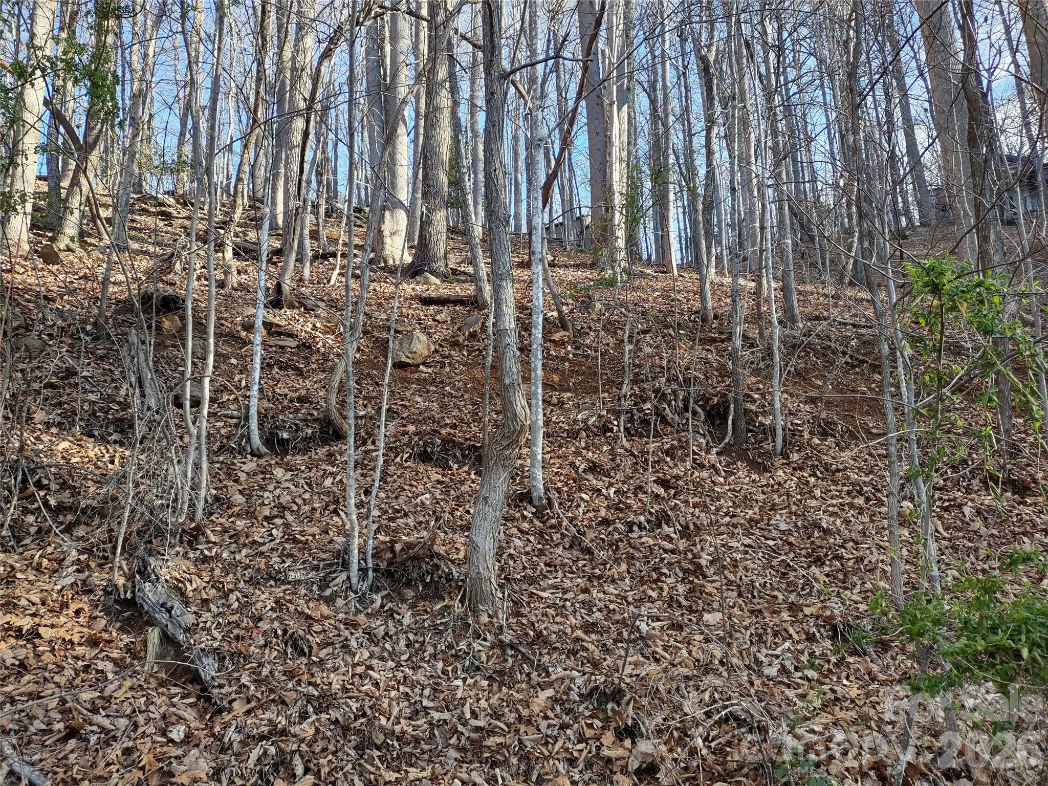 99999 Cedar Drive Mills River NC 28759