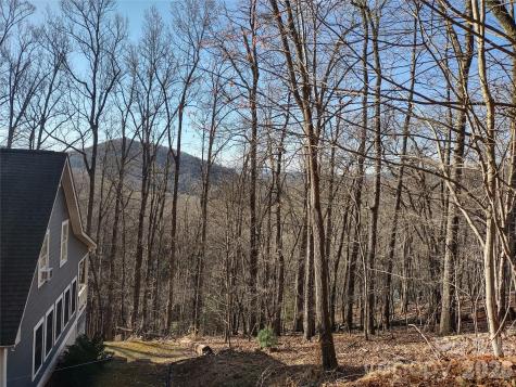 99999 Cedar Drive Mills River NC 28759