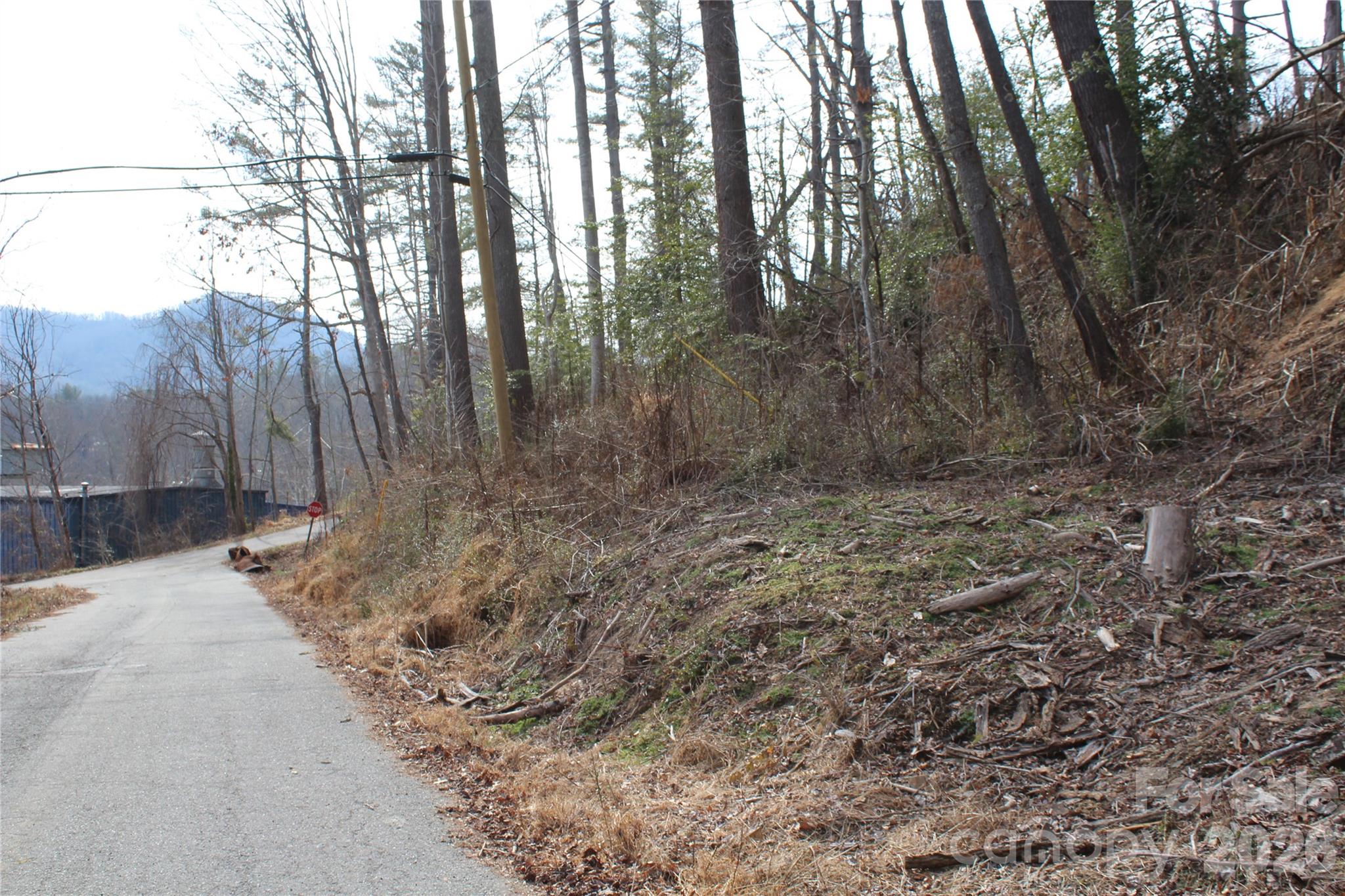 00 Monte Vista Circle Spruce Pine NC 28777