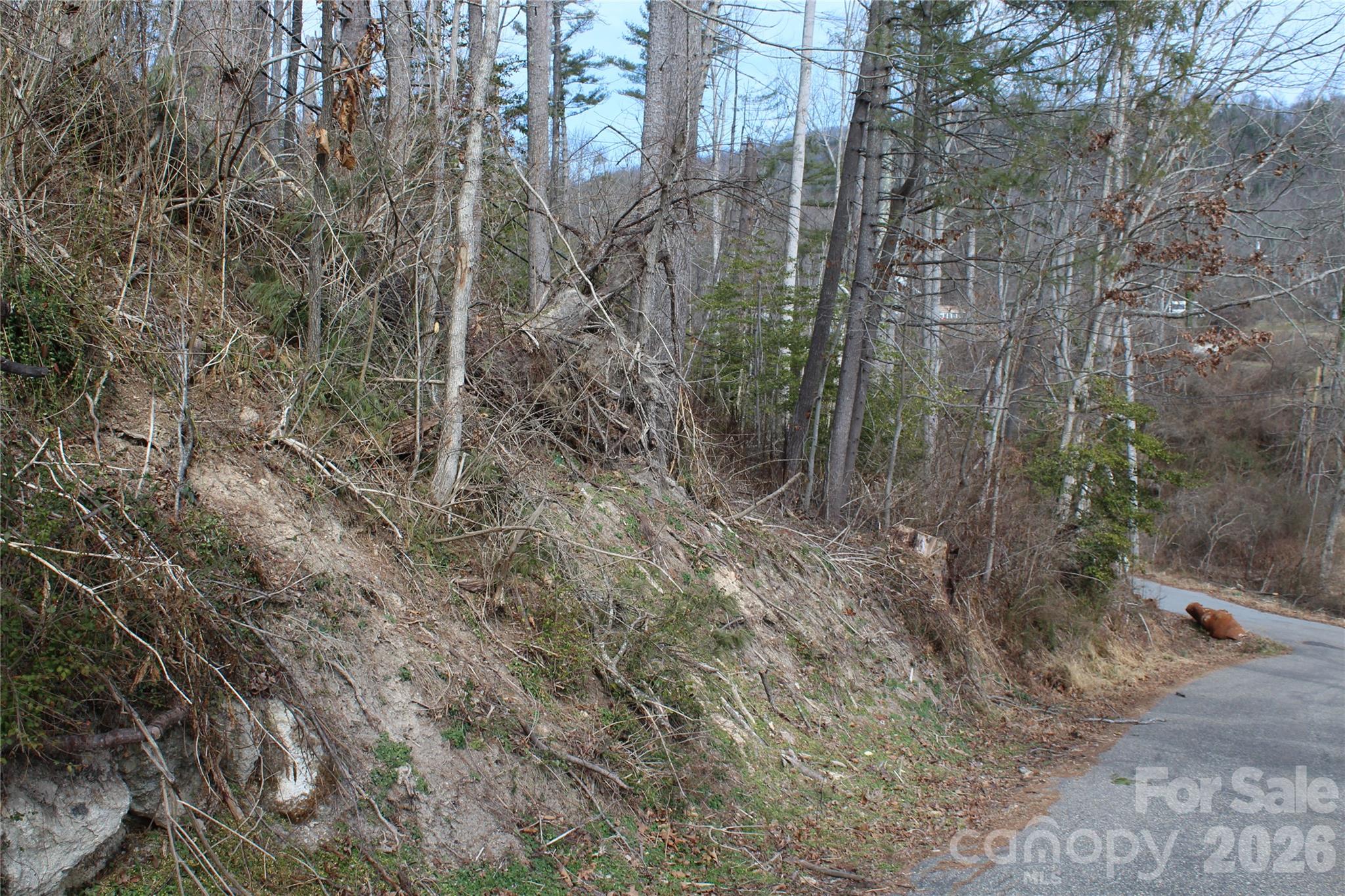 00 Monte Vista Circle Spruce Pine NC 28777