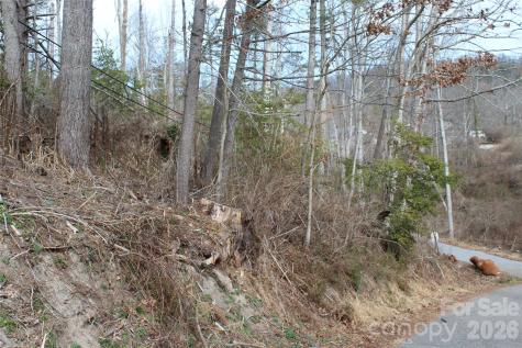 00 Monte Vista Circle Spruce Pine NC 28777