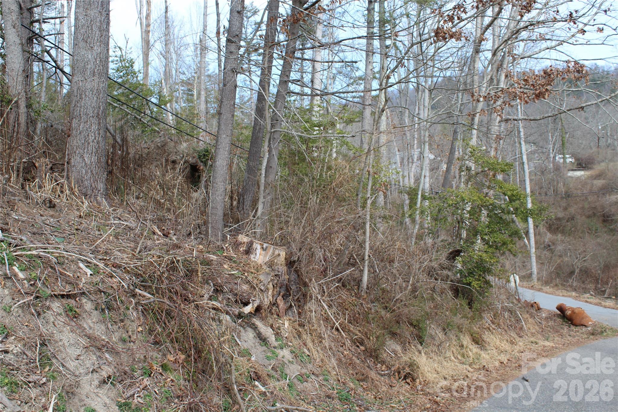 00 Monte Vista Circle Spruce Pine NC 28777