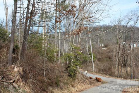 00 Monte Vista Circle Spruce Pine NC 28777