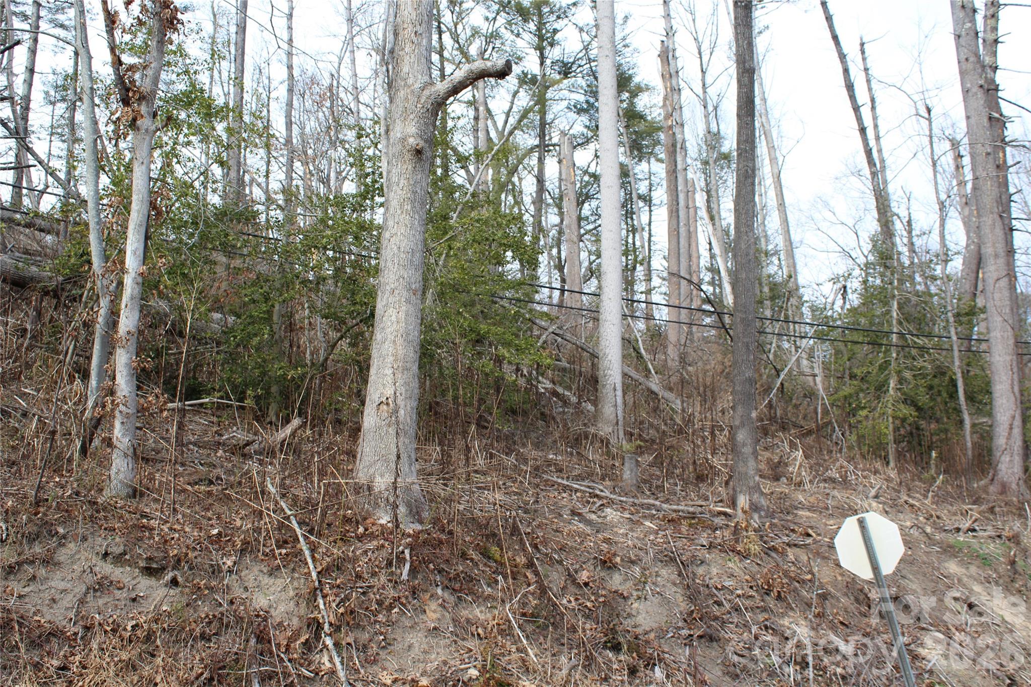 00 Monte Vista Circle Spruce Pine NC 28777