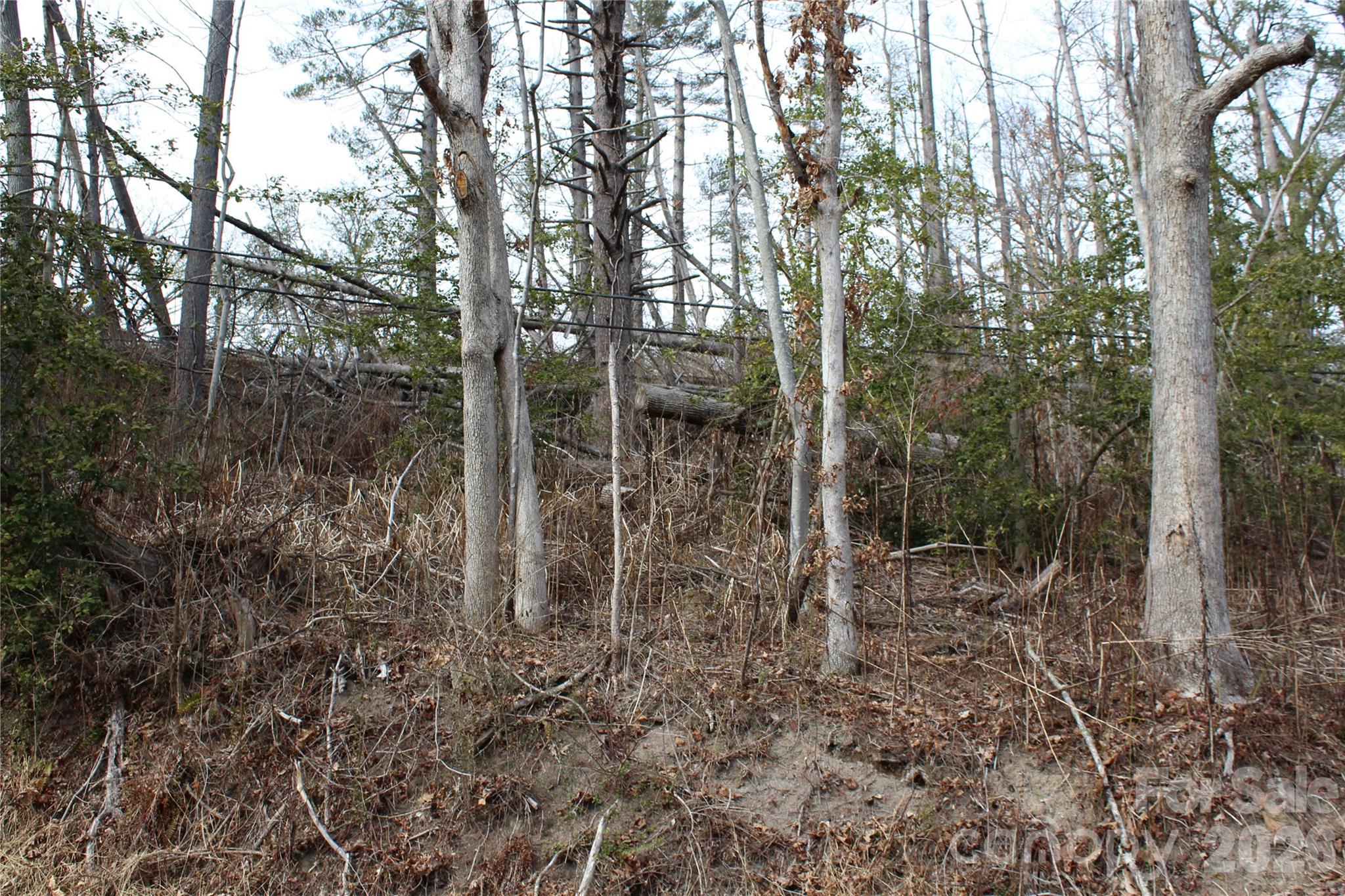 00 Monte Vista Circle Spruce Pine NC 28777