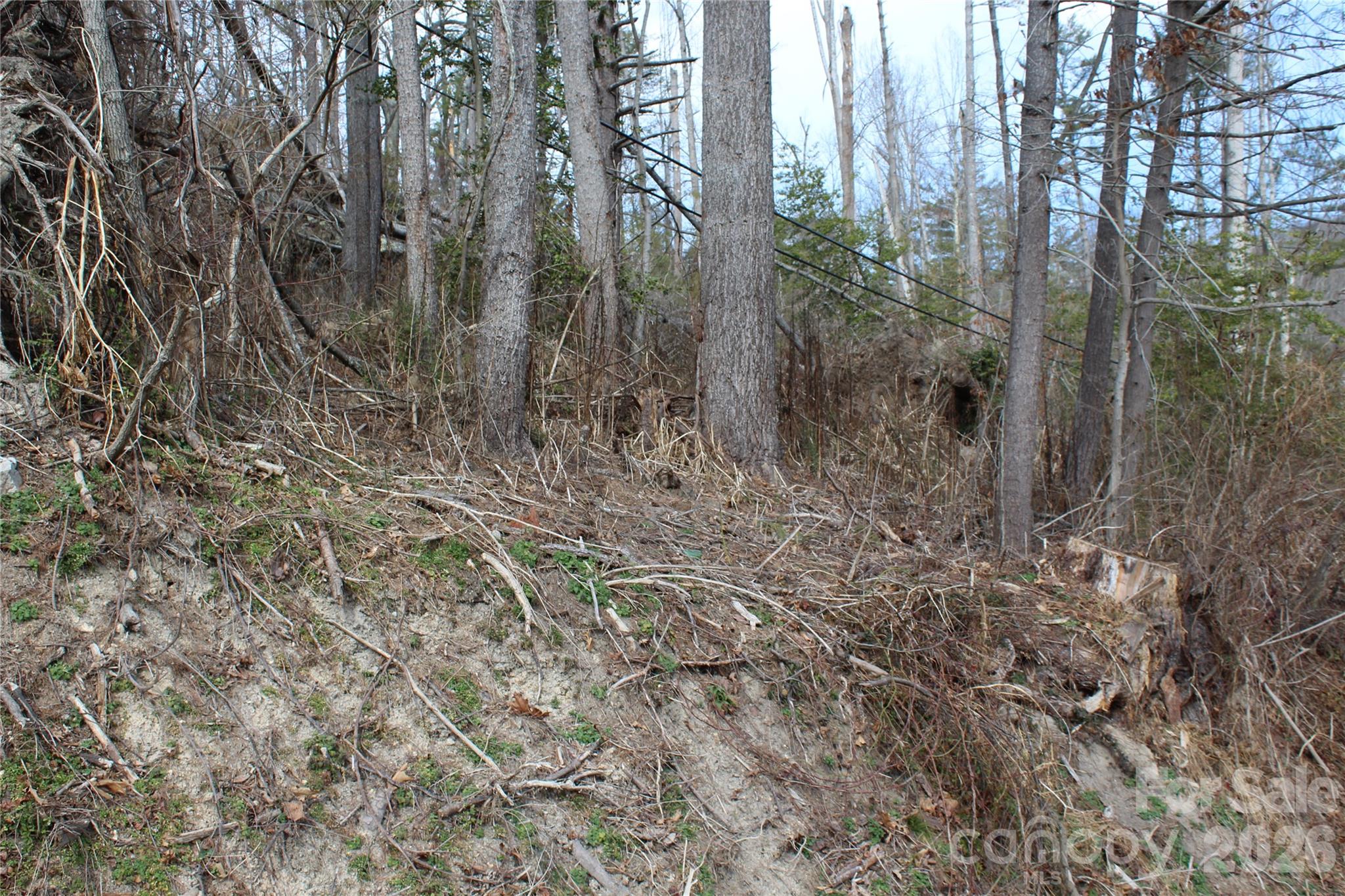 00 Monte Vista Circle Spruce Pine NC 28777