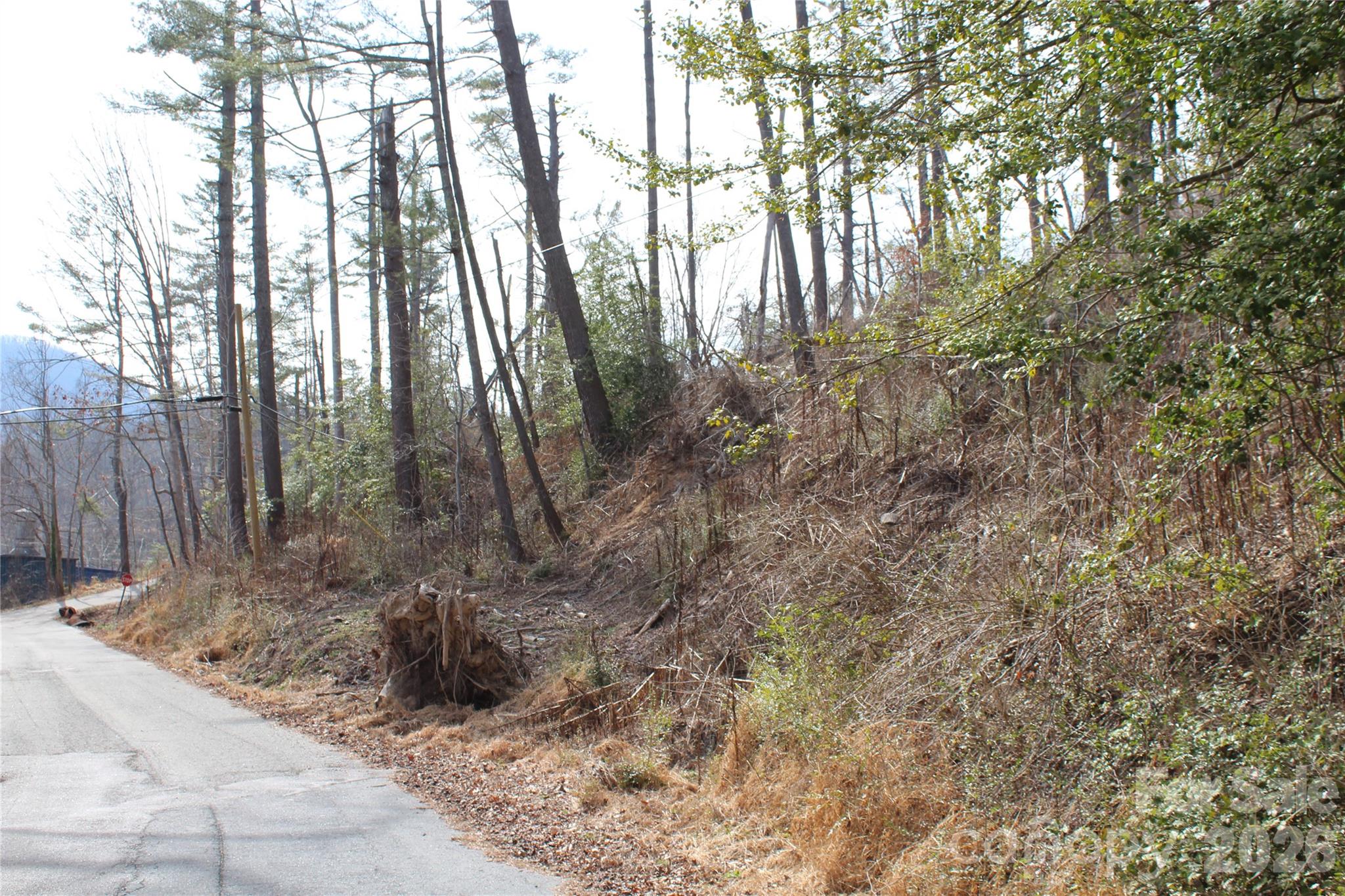00 Monte Vista Circle Spruce Pine NC 28777